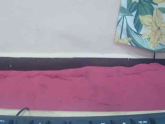 Koushy webcam