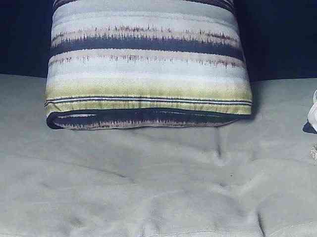 Koushy webcam
