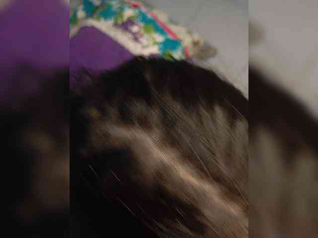 Modelo: MarEmay