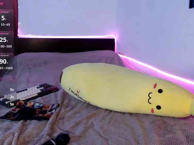 AliceSlim webcam
