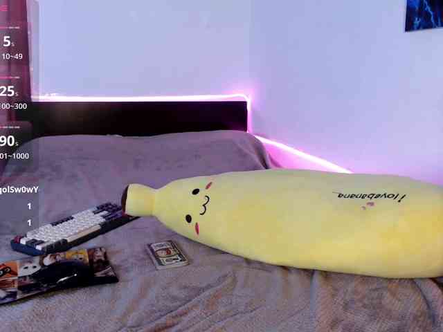 AliceSlim webcam