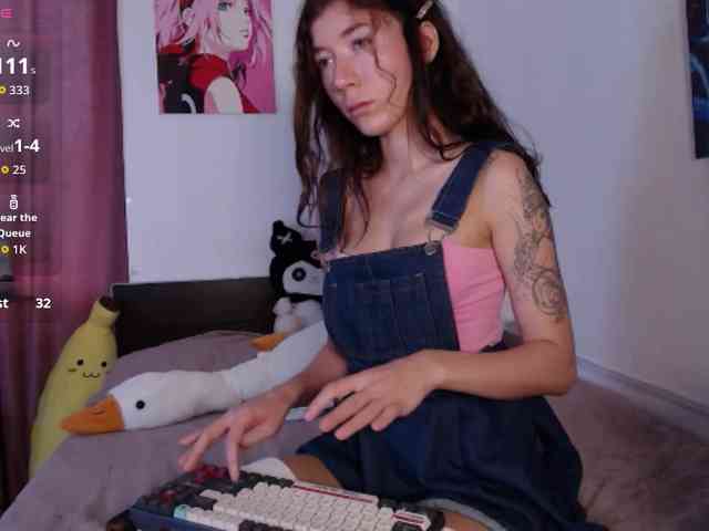 AliceSlim webcam