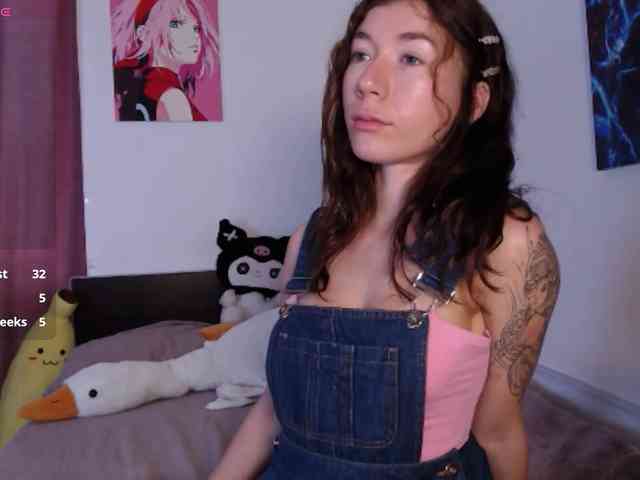 AliceSlim webcam