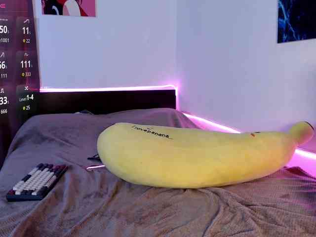 AliceSlim webcam