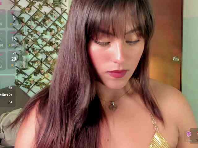 WhisperWish webcam