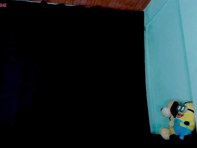 Evah-lee webcam