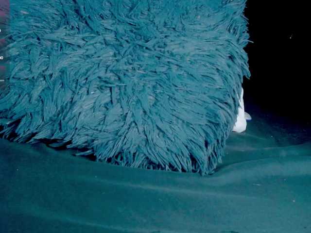 Evah-lee live cam on BongaCams