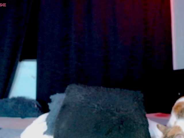 Evah-lee live cam on BongaCams