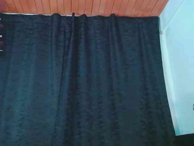 Evah-lee webcam