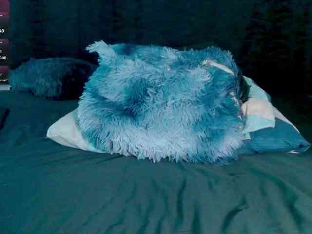Evah-lee webcam