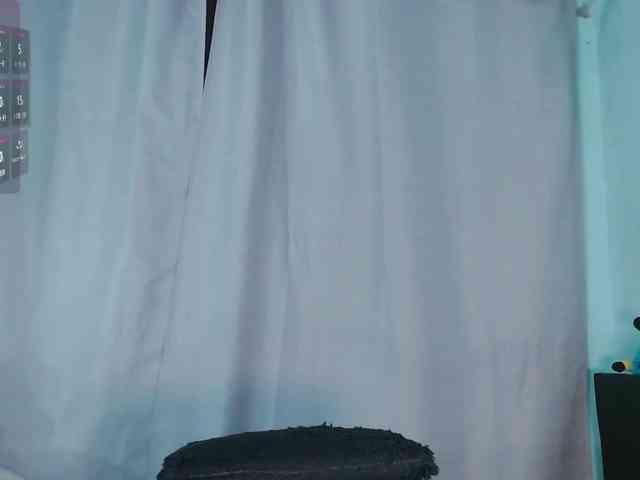 Evah-lee webcam