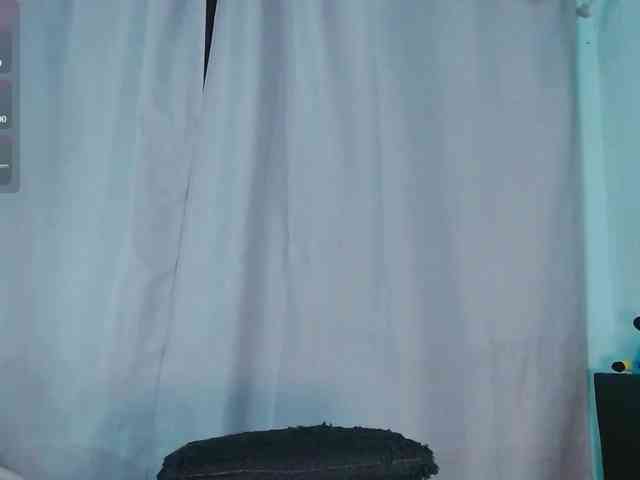 Evah-lee webcam