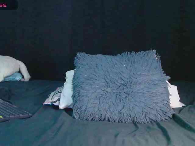 Evah-lee webcam
