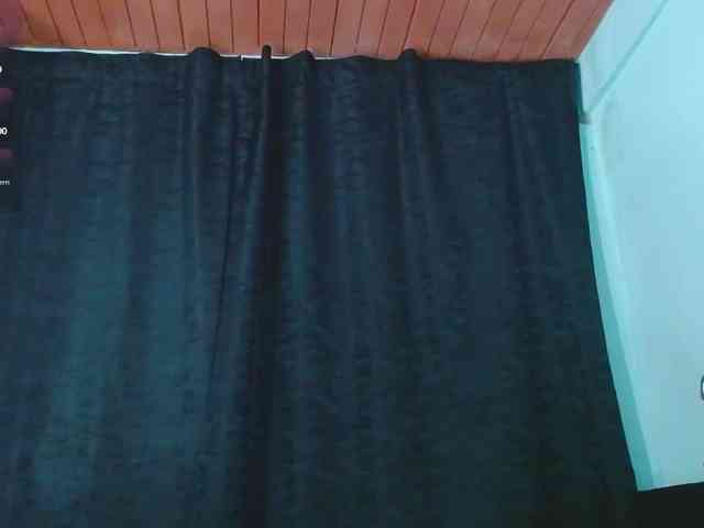 Evah-lee webcam