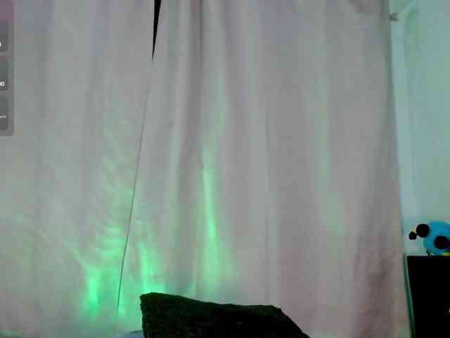 Evah-lee webcam