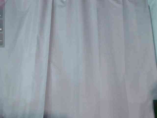 Evah-lee webcam