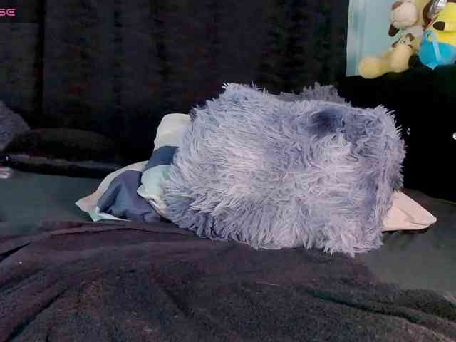Evah-lee webcam