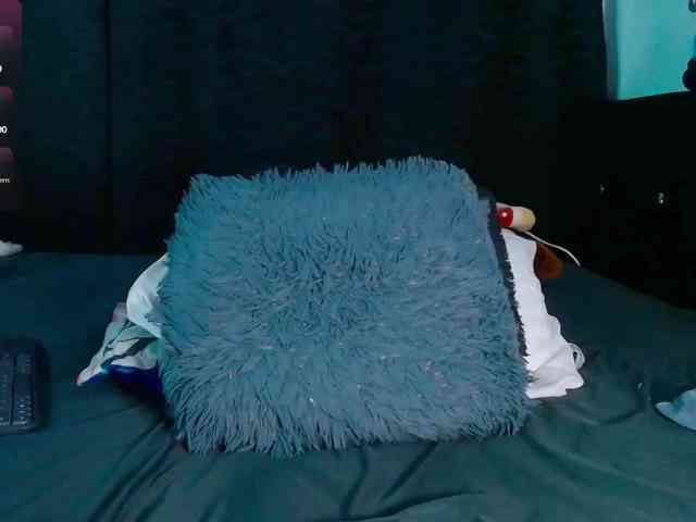 Evah-lee webcam