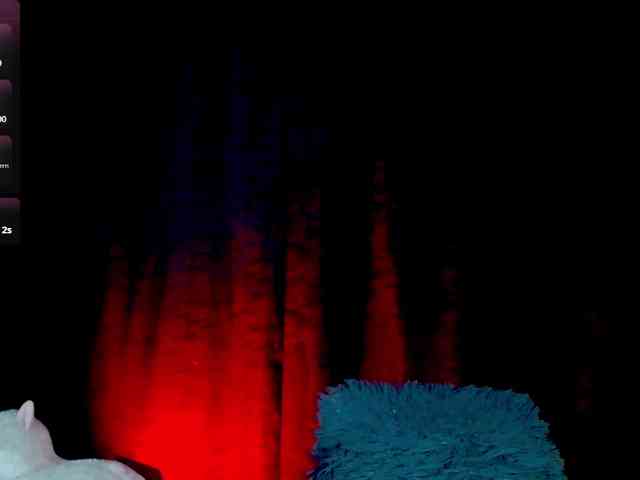 Evah-lee webcam