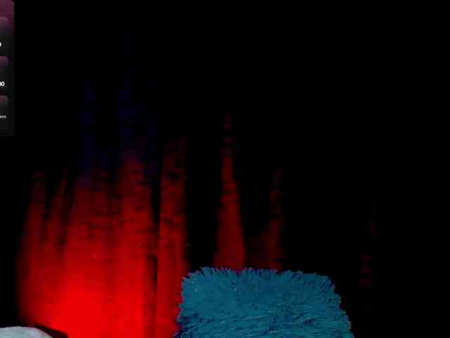 Evah-lee webcam