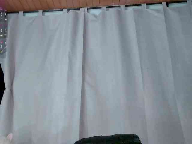 Evah-lee webcam
