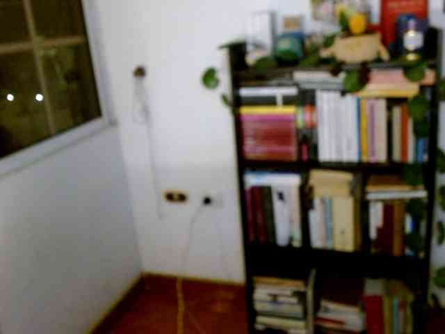 clitia-xx webcam