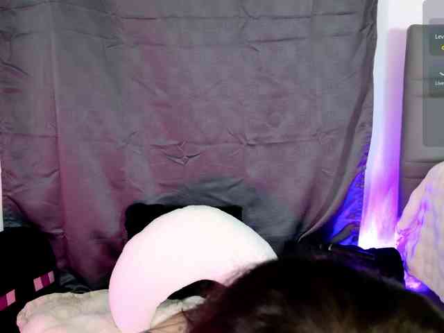 Leinbone webcam
