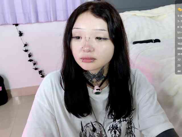 Leinbone webcam