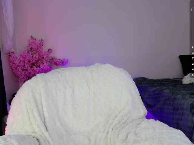 Leinbone webcam