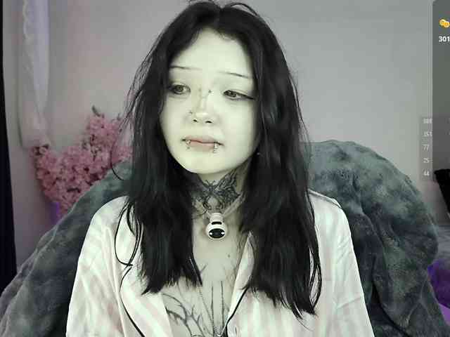 Leinbone webcam