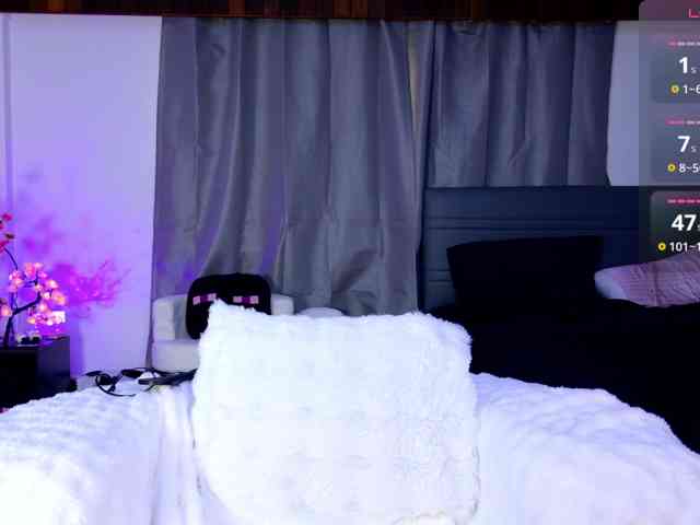 Leinbone webcam