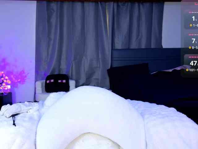 Leinbone webcam