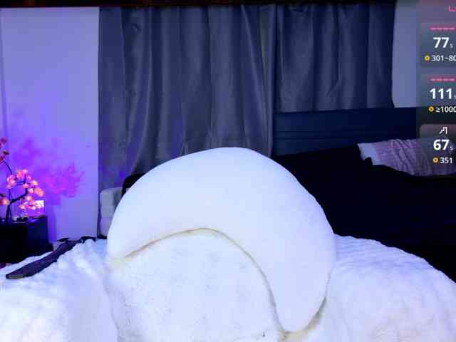 Leinbone webcam