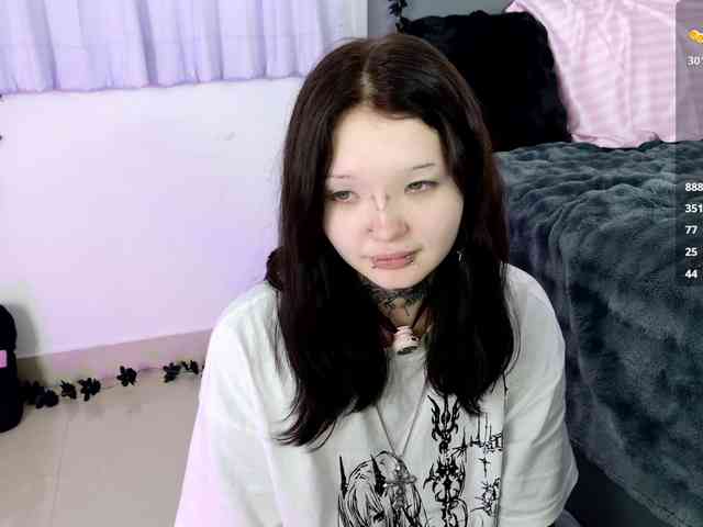 Leinbone webcam
