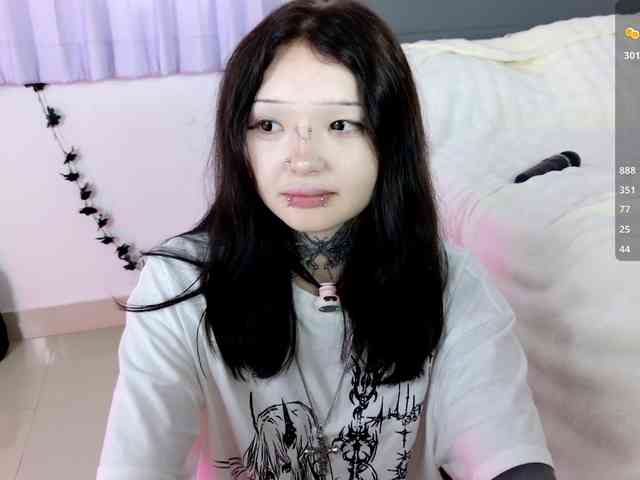 Leinbone webcam
