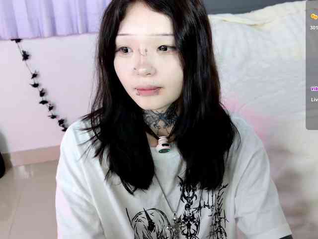 Leinbone webcam