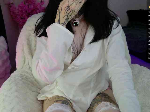 Leinbone webcam