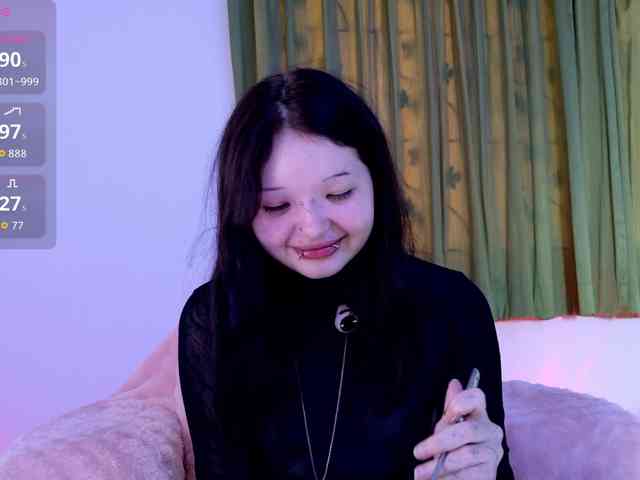 Leinbone webcam