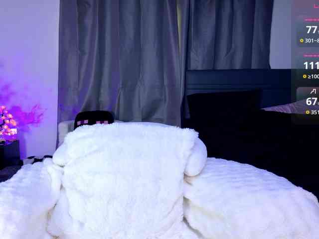 Leinbone webcam