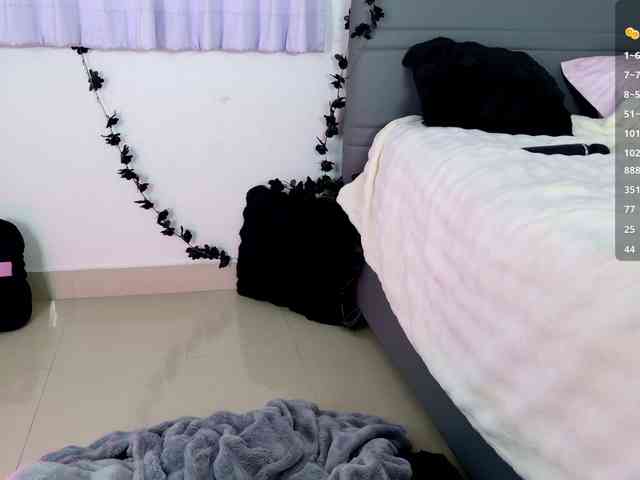 Leinbone webcam