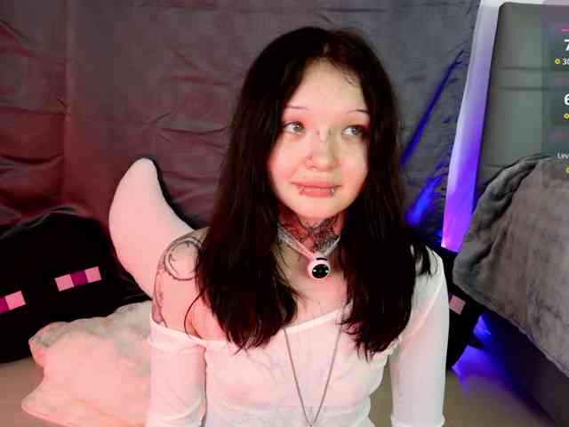 Leinbone webcam