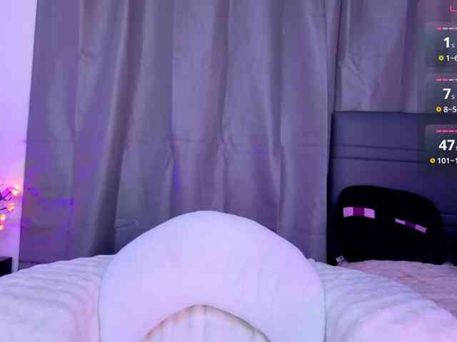 Leinbone webcam