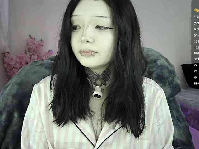 Leinbone webcam