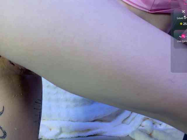 Leinbone webcam