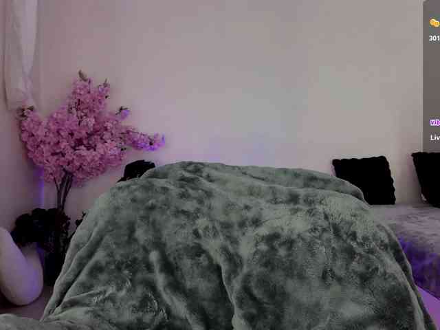 Leinbone webcam