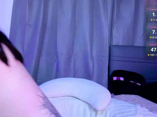 Leinbone webcam