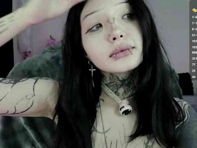 Leinbone webcam