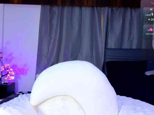 Leinbone webcam