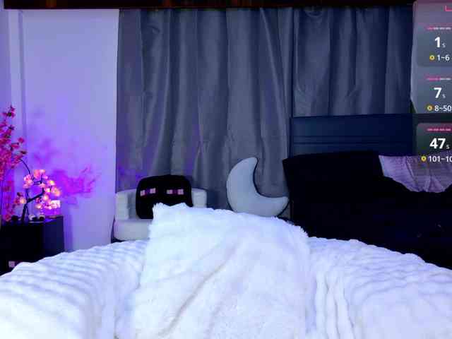 Leinbone webcam