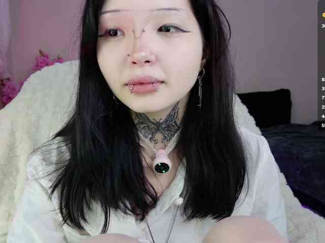 Leinbone webcam